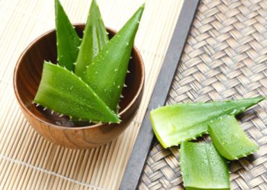 用芦荟怎样祛痘 用芦荟怎样祛痘