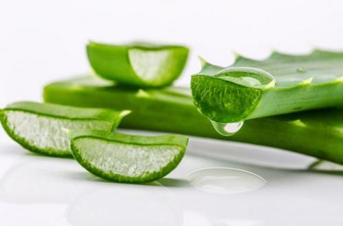 用芦荟怎样祛痘 用芦荟怎样祛痘