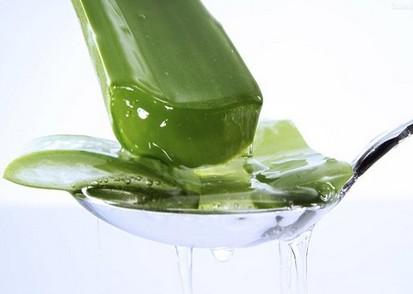 用芦荟怎样祛痘?  用芦荟怎样祛痘?