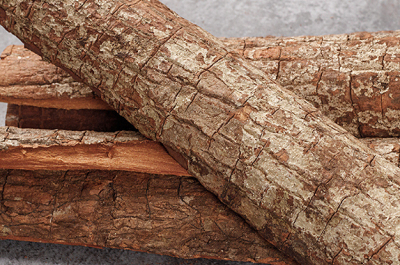 image 安哥拉卡宾达树皮